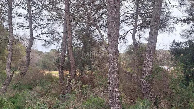 Foto 05bb1eca-a19f-4fe2-b16a-39e0f9ec58ec. Residential plot in Portichol-Balcón al Mar Xàbia