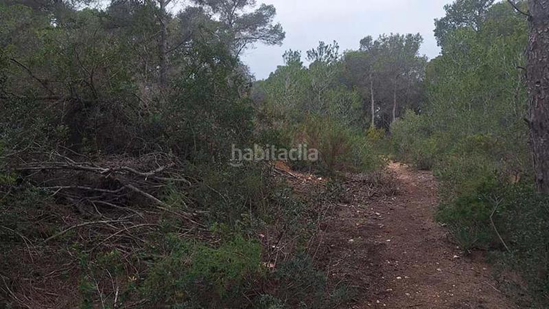 Foto 207ea209-0f8d-49b0-8b4e-8505bdca2b2f. Residential plot in Portichol-Balcón al Mar Xàbia