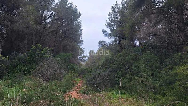 Foto e014ebed-3458-4812-aa5f-3c898f8c7a50. Residential plot in Portichol-Balcón al Mar Xàbia
