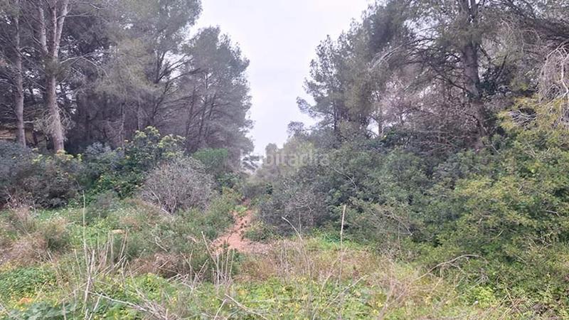 Foto ffb277be-fc30-4b9c-a199-e5f9cfb8bb9e. Residential plot in Portichol-Balcón al Mar Xàbia