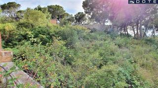 Finca rstica a Creixell. Amplia parcela edificable en creixell