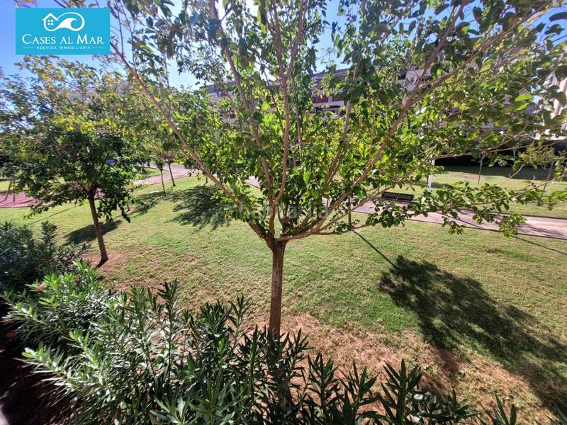 Foto 743ecc50-2e88-4a4b-9d1f-905c375fa22f. Apartment with heating pool in Playa Morros de Gos Oropesa del Mar