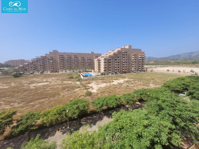 Foto 65d3b599-8cc0-4555-89db-6c1de54065fe. Piccolo appartamento in central 52 in Jardines del Mar Oropesa del Mar