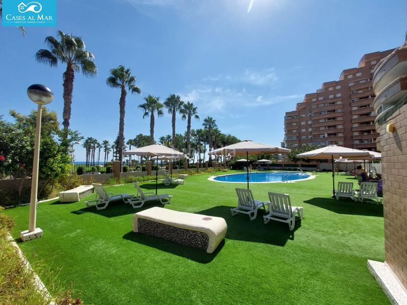 Foto 7834594e-2f3b-4ec2-aa46-5308958421a4. Piccolo appartamento in amplaries 25 in Costa Marina Oropesa del Mar