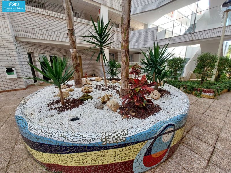 Foto dc3682e8-6804-4066-8d32-83538ee9510c. Apartament a central 10 a Marina Trebol - Neptuno Oropesa del Mar