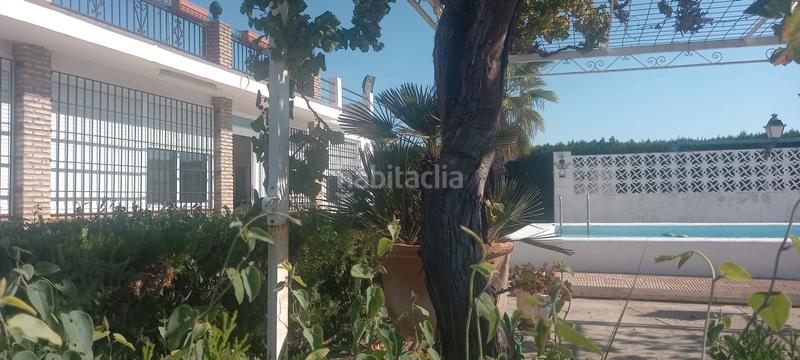 Foto e2ec1c94-5c29-4fd1-a940-57d620589d74. Chalet dans calle amistad 147 dans Oromana Alcalá de Guadaira