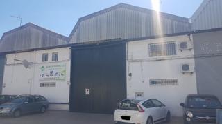Nau industrial en Calle los palos 5. Nave industrial con oficinas y totalmente acondicionada