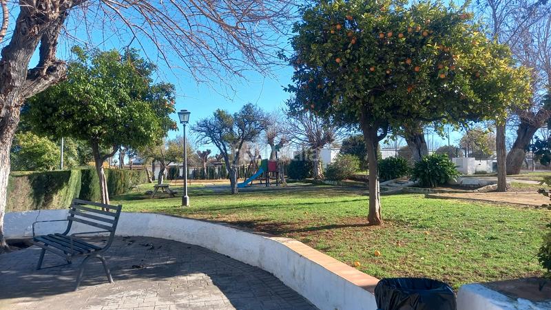 Foto 1efcee4d-89f8-4382-9aaf-fa8c4bda378c. Chalet con camino riscaldamento parcheggio piscina in Carmona