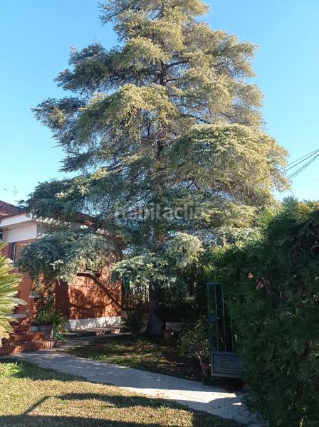 Foto 2f17db72-57d6-4a67-be3e-347a08b1bdc3. Chalet con camino riscaldamento parcheggio piscina in Carmona