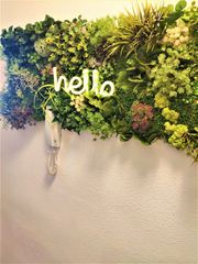 Miete Etagenwohnung in La Flota