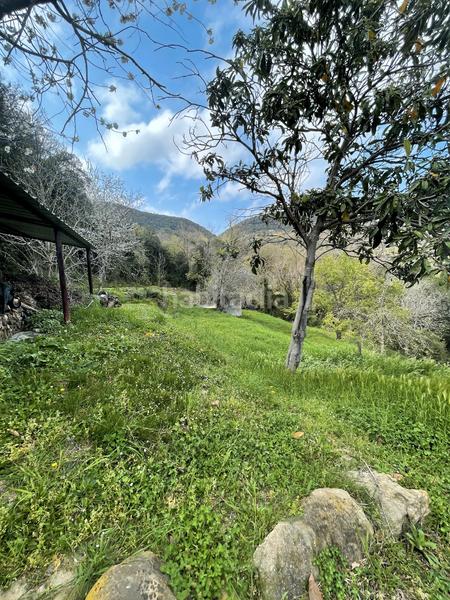 Foto 1238e7cb-0dad-4dff-9325-7ae8fa0c9683. Masia amb xemeneia calefacció aparcament a Mieres