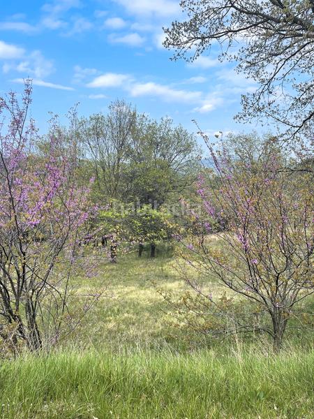 Foto 93d460d7-2376-42ac-a796-86e643c59129. Masia amb xemeneia calefacció aparcament a Mieres