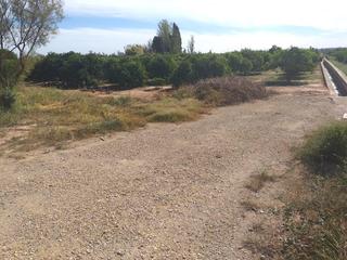 Finca rústica a Moncada. Terreno de naranjos en venta en moncadazona anillo verde