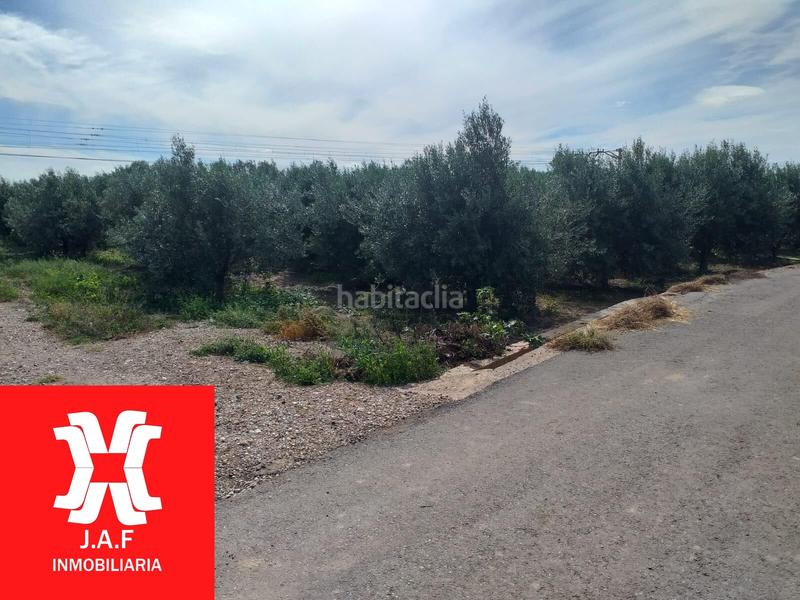 Foto 452e60df-6ff0-4d55-b9e2-2f1cc5b764bf. Rural plot in Moncada