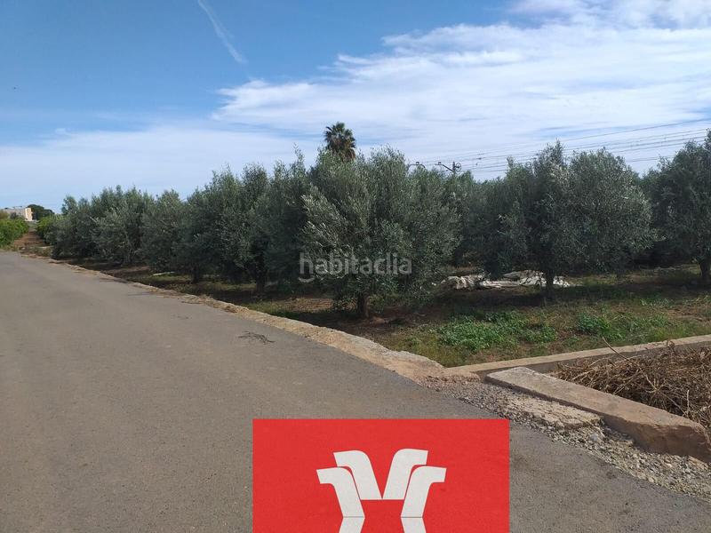 Foto 554e02fe-d5bf-42ba-b9c5-6e4bb9d00e42. Rural plot in Moncada