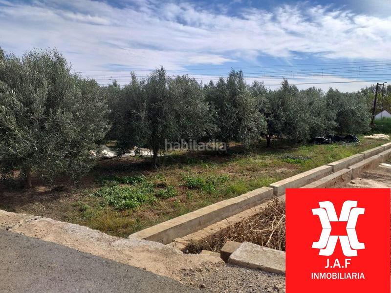Foto 83ddeed2-0070-455c-bf32-69bfc88e3f28. Rural plot in Moncada