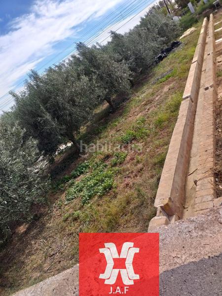 Foto c9e49e28-317c-4bf0-a6b3-5fbc9df33290. Rural plot in Moncada