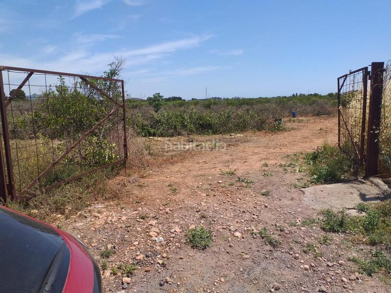 Foto 556e454e-b754-438a-a2c2-9eaca558704d. Fondo rustico in Moncada