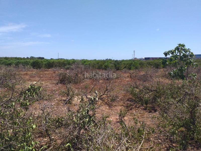 Foto 5908ae10-afcd-4bff-93b0-172dae609bff. Fondo rustico in Moncada