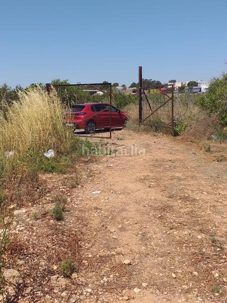 Foto 5bfe0d9e-ab7f-43fd-bc75-55aa21826f7c. Fondo rustico in Moncada