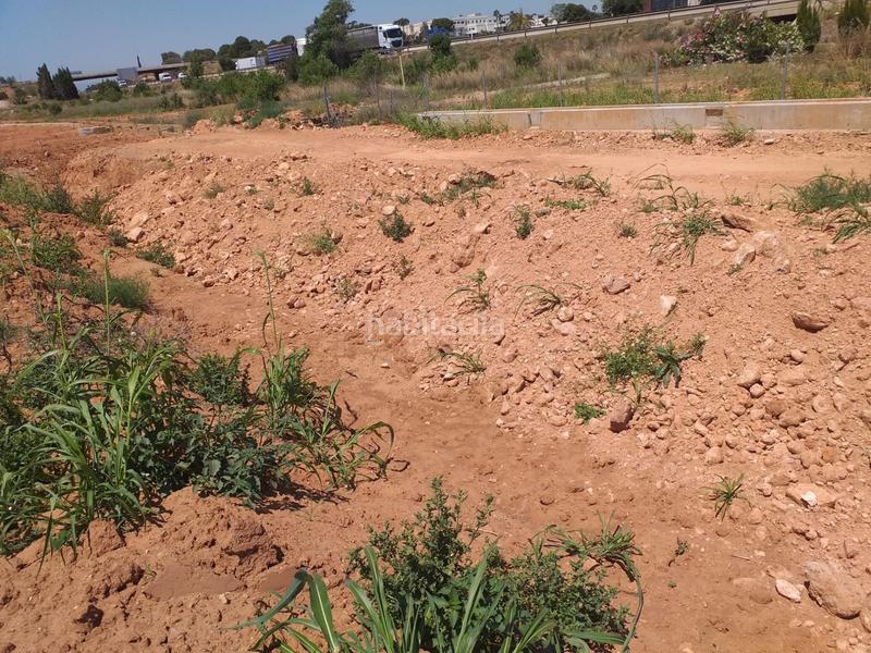 Foto fc9a27e5-7126-4db1-b981-18e06ee54244. Fondo rustico in Moncada