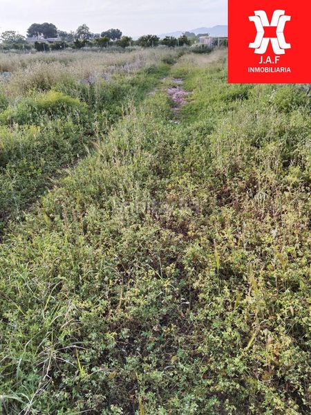 Foto 2455154a-6e40-4bce-a420-f662de23d498. Finca rústica a Moncada