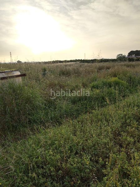 Foto d5faff60-92e5-439a-8b44-c6a0d29b9341. Finca rústica a Moncada