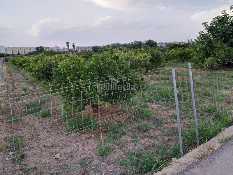 Foto f1fd8524-2a54-4464-b124-5832d0cabcc6. Finca rústica a Moncada