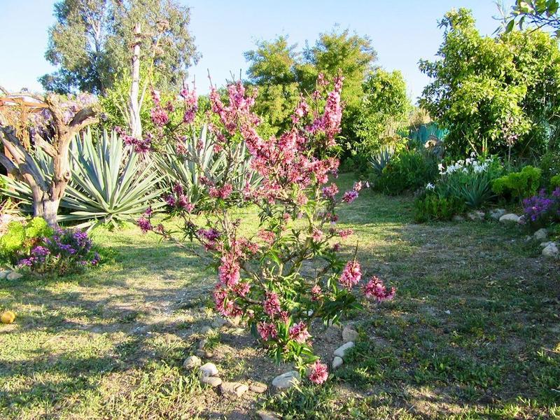 Foto 8b278653-3c12-41b3-83d4-f0053bf02de4. Maison avec piscine dans Cártama