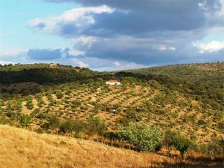Wohngrundstück in Madroñera