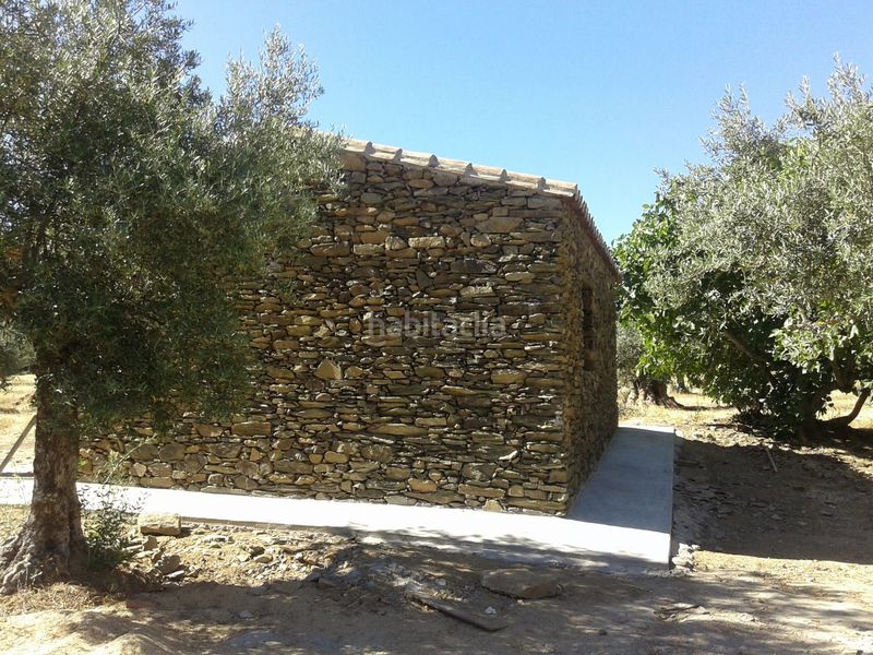 Foto 582d37d3-88fa-4535-ba8a-0847d477f8d2. Finca rústica en plaza de ramón y cajal 5b en Madroñera