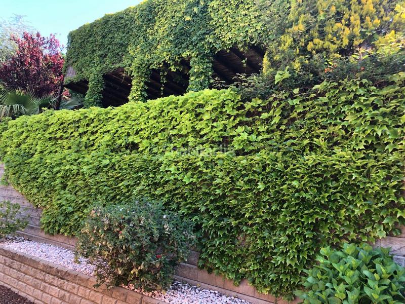 Foto d3d48898-9f53-463b-954a-502cedcf7026. Casa con riscaldamento parcheggio piscina in Les Bilbenyes Sant Vicenç de Montalt