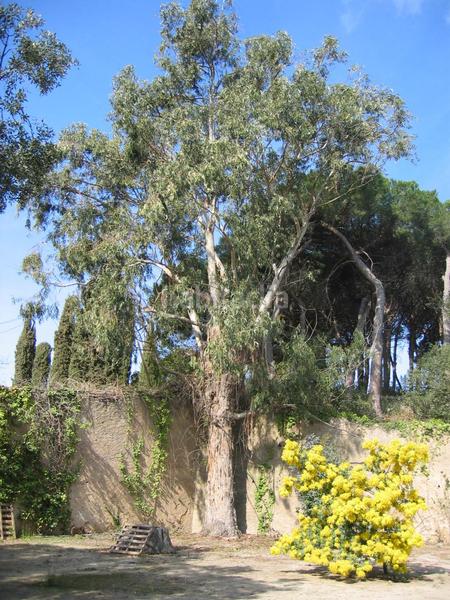 Foto 0e2032e4-b67b-4c19-b275-a12e7118e151. Mas avec parking dans Santa Maria Balís - Can Riera - Can Jordi Sant Vicenç de Montalt