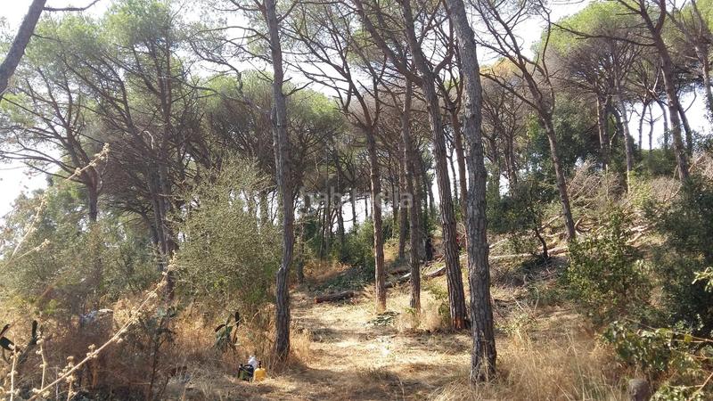 Foto cfd8fc35-0fa2-4bdd-9e3f-ab7e00b289ce. Mas avec parking dans Santa Maria Balís - Can Riera - Can Jordi Sant Vicenç de Montalt