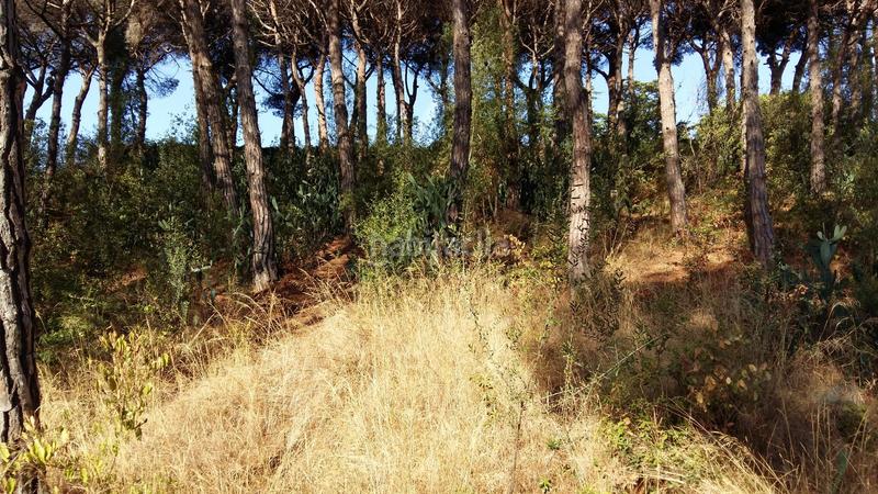 Foto f15ee25d-bfb5-4182-bf15-312588692590. Mas avec parking dans Santa Maria Balís - Can Riera - Can Jordi Sant Vicenç de Montalt