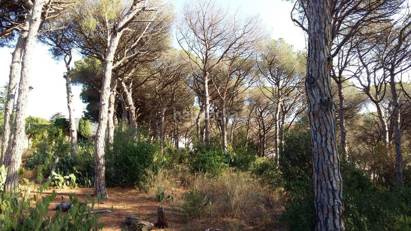 Foto f55ff10a-d5f3-499f-b3b0-8900441d4c5c. Mas avec parking dans Santa Maria Balís - Can Riera - Can Jordi Sant Vicenç de Montalt