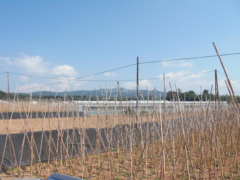 Foto 0dadb779-20b3-47bd-b069-b40554f0660b. Residential plot in Cinc Sènies Mataró