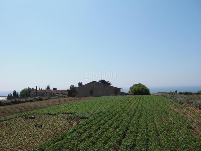 Foto 13ede12b-c11c-4266-b97b-340f4c39f931. Residential plot in Cinc Sènies Mataró