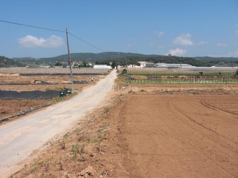 Foto 4aed031f-4ad2-46ce-b79f-559cff06ad81. Residential plot in Cinc Sènies Mataró