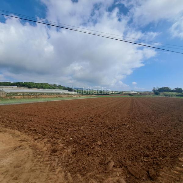 Foto 519650c2-70a0-4eba-8506-c818dcb748fc. Residential plot in Cinc Sènies Mataró