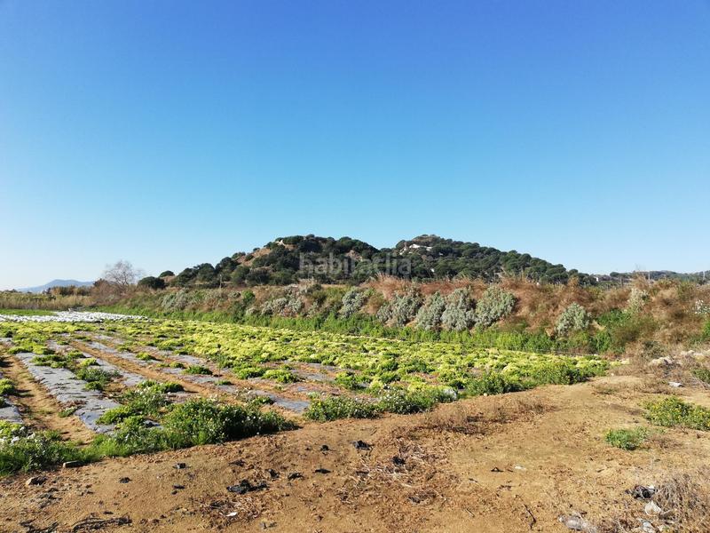 Foto 5887389d-59f5-47b4-997f-f4f243345974. Residential plot in Cinc Sènies Mataró