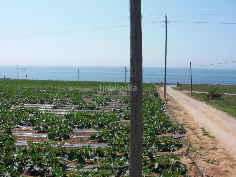 Foto 67d92324-6b2c-4a01-836c-14b084d47077. Residential plot in Cinc Sènies Mataró