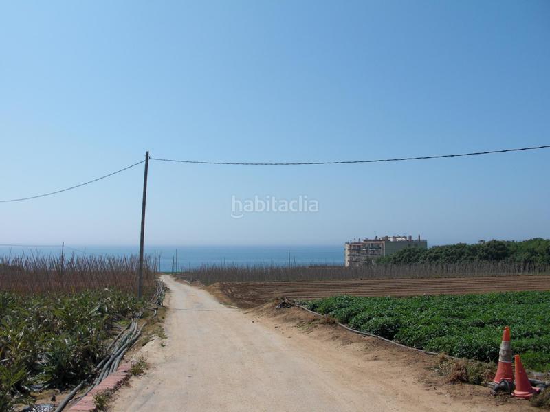 Foto e71d6e10-8008-4ce1-bf4e-04ca63ca64d1. Residential plot in Cinc Sènies Mataró