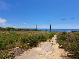 Masia  De mata. Finca agrícola en ubicación magnifica, soleada y con vistas al m