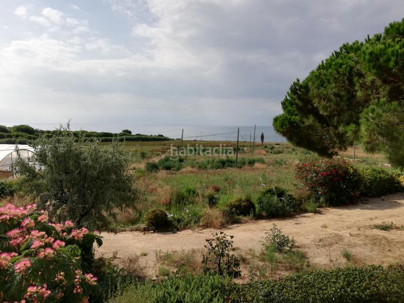 Foto 5e85f94b-da3a-4ade-8a92-db77ed1b01e1. Masia amb aparcament a Cinc Sènies Mataró