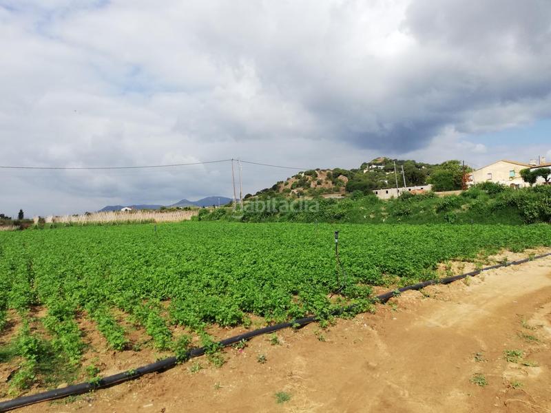 Foto a3562e39-c094-44fe-98db-38858aebb4ca. Masia amb aparcament a Cinc Sènies Mataró