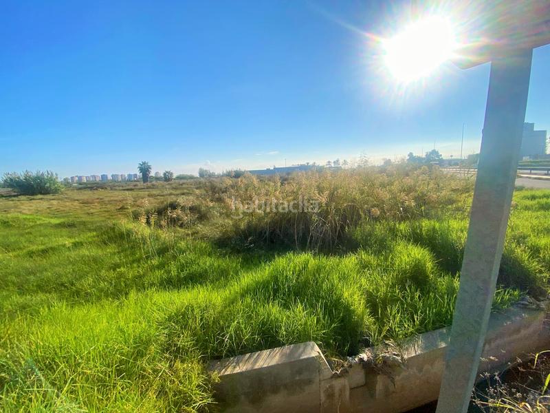 Foto a76fa7c2-3a6f-45f7-801b-3d857e4876e3. Finca rústica a partida drago 2 a Massalfassar