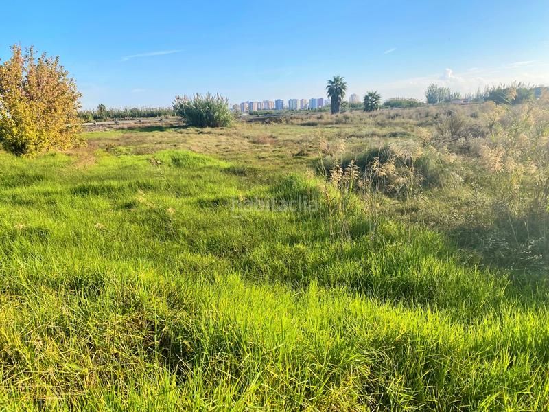 Foto 0ad15997-cfaa-4242-a4c0-7392a133ea33. Finca rústica a partida drago 2 a Massalfassar