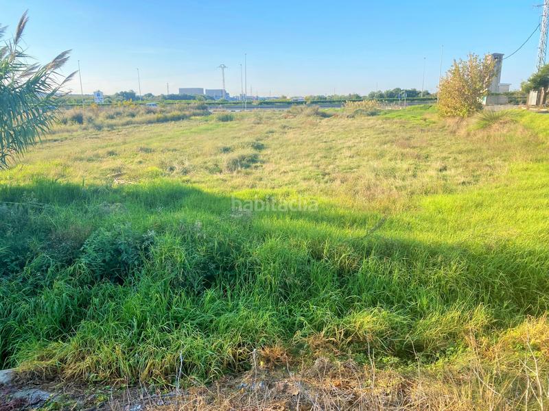 Foto 35a8db55-5171-429a-9cb4-55d9e9953851. Finca rústica a partida drago 2 a Massalfassar