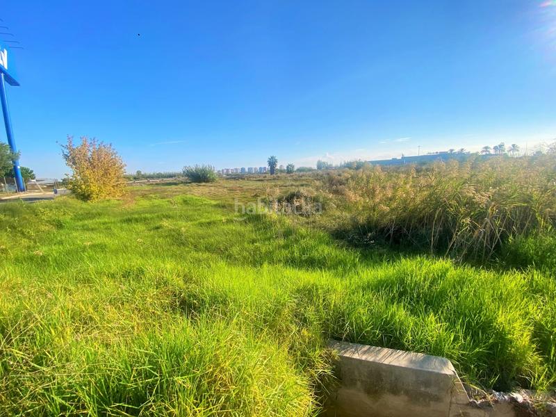 Foto 362d8bc4-c6e6-4b79-9d01-56c8d6ddc34b. Finca rústica a partida drago 2 a Massalfassar